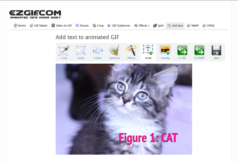 Quick Steps on How to Add Text to a GIF Using Caption Maker Tools