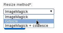 GIF resizer method selection